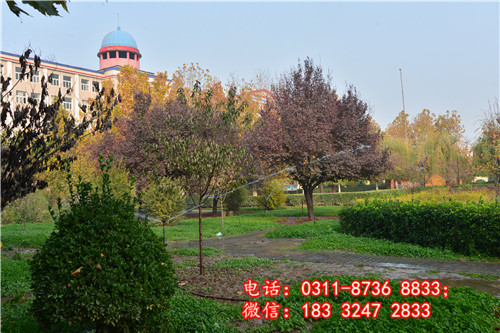 石家莊冀聯(lián)醫(yī)學(xué)院校園一角2.jpg