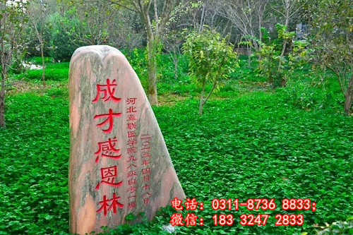 石家莊冀聯(lián)醫(yī)學(xué)院學(xué)習(xí)文化課嗎？