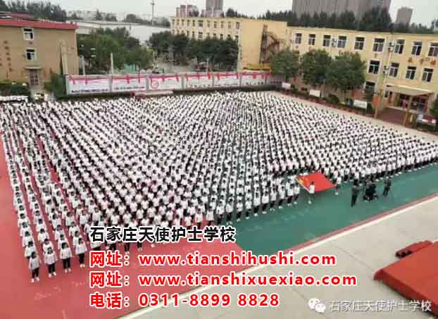 如何從北站坐公交車(chē)到石家莊天使護(hù)士學(xué)校？