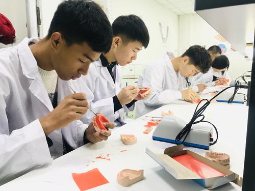 學(xué)習(xí)口腔修復(fù)工藝專業(yè)能當(dāng)牙醫(yī)嗎？
