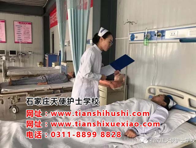 石家莊天使護(hù)士學(xué)校報名錄取條件