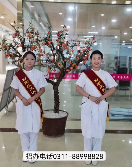 2024年石家莊天使護士學校招生簡章，開啟醫(yī)護夢想的新征程！