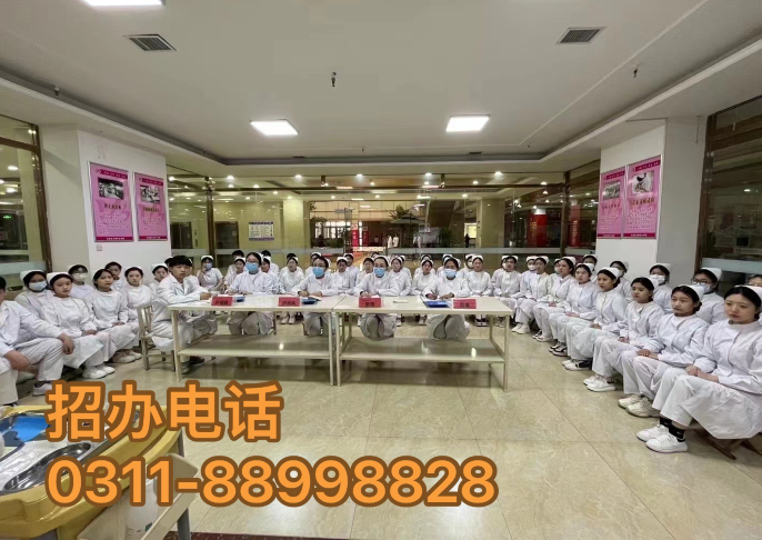 護(hù)理專業(yè)招生簡(jiǎn)章 | 石家莊天使護(hù)士學(xué)校 2024年春季新生報(bào)名正式開始