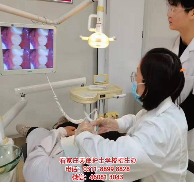 成為牙醫(yī)行業(yè)的精英：石家莊天使護士學校2024年春季口腔專業(yè)招生簡章發(fā)布