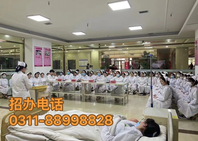 石家莊天使護(hù)士學(xué)校2024年招生簡章公開，揭示醫(yī)護(hù)職業(yè)新機(jī)遇！