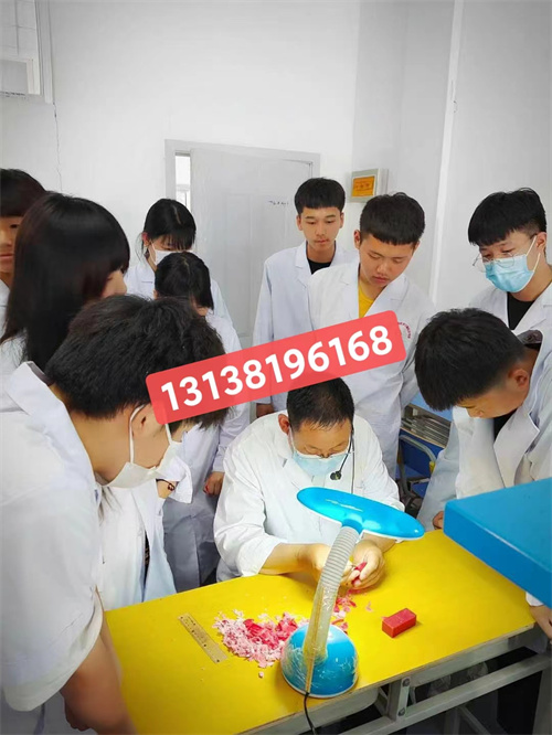石家莊白求恩醫(yī)學中等專業(yè)學校分數(shù)線