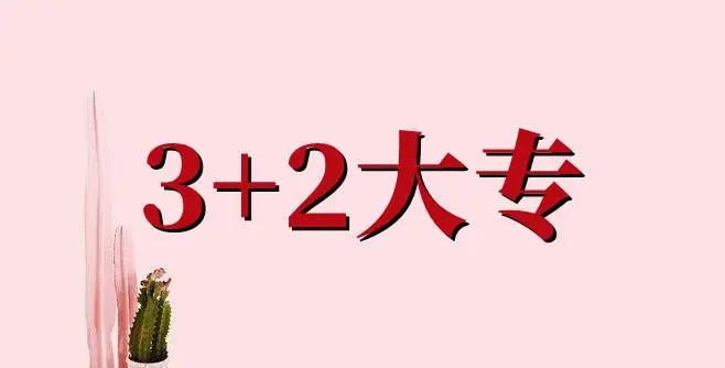 3+2大專(zhuān)班和3+3大專(zhuān)班有什么區(qū)別
