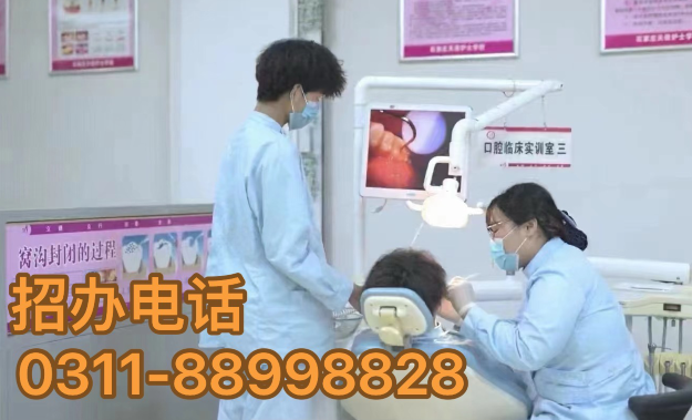 石家莊天使護士學校有口腔醫(yī)學專業(yè)嗎