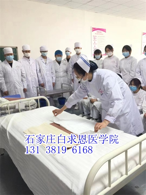 河北對(duì)口高考和對(duì)口單招有什么不同？