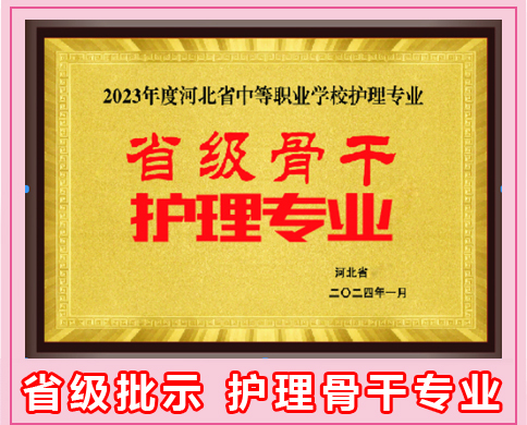 石家莊天使護士學(xué)校2025年春季招生嗎?
